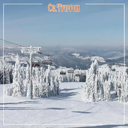 свети трифон 3*