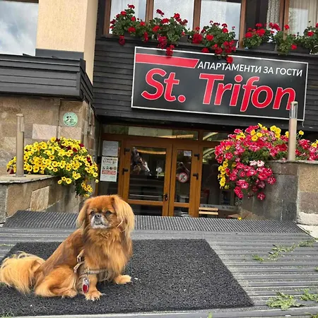 St Trifon Guests Пампорово