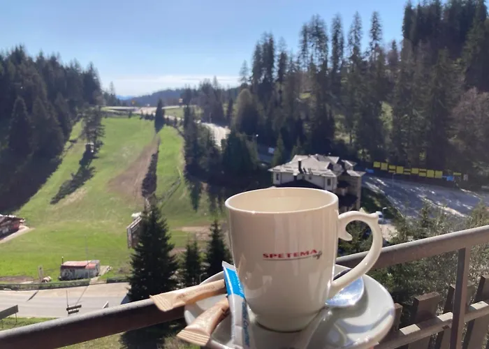 Aparthotel St Trifon Guests Pamporovo