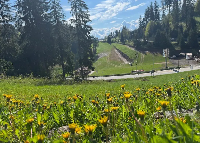 St Trifon Guests Aparthotel Pamporovo